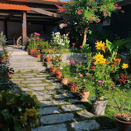 Casa Tito *