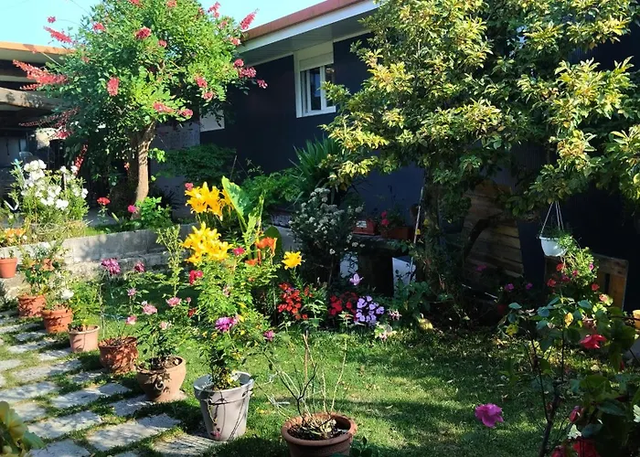 ゲストハウス Casa Tito