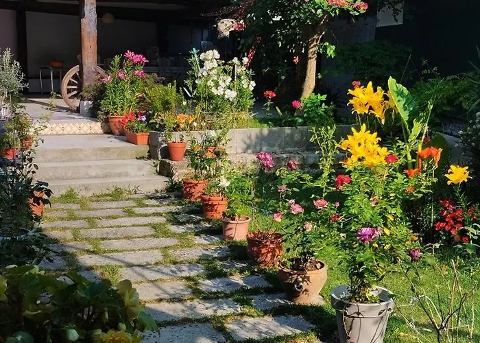 Casa Tito *